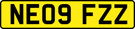 NE09FZZ