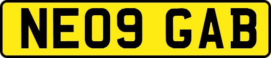 NE09GAB
