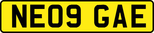 NE09GAE