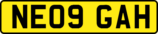 NE09GAH