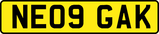 NE09GAK