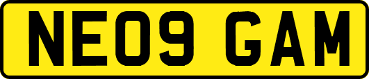 NE09GAM