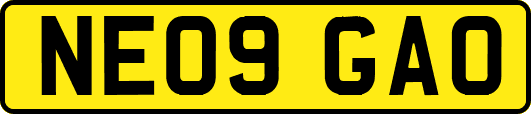NE09GAO