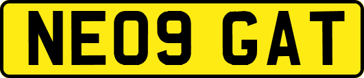 NE09GAT