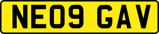 NE09GAV
