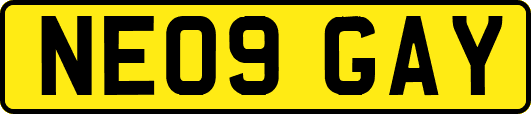 NE09GAY