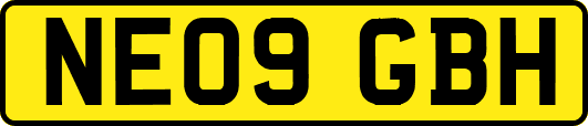 NE09GBH
