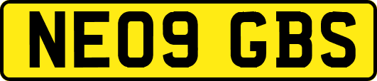 NE09GBS