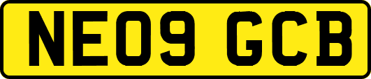 NE09GCB