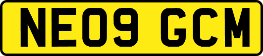 NE09GCM