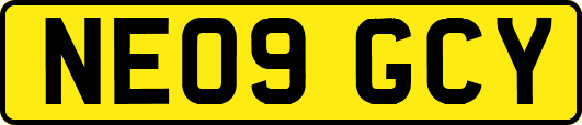 NE09GCY
