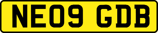 NE09GDB