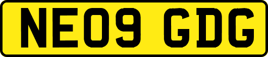 NE09GDG