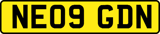 NE09GDN
