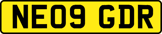 NE09GDR
