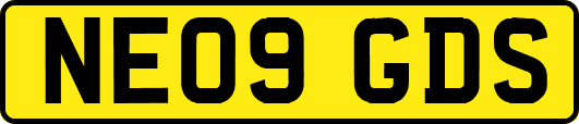 NE09GDS