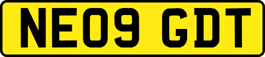 NE09GDT