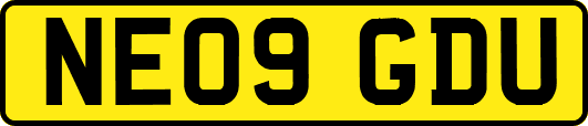 NE09GDU