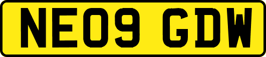 NE09GDW