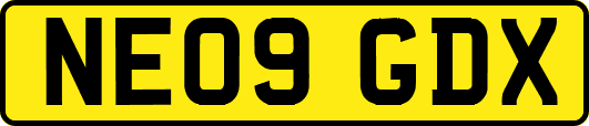 NE09GDX