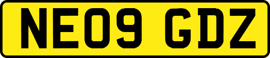 NE09GDZ