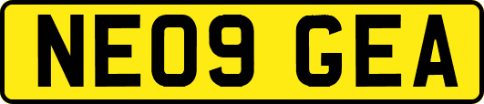 NE09GEA