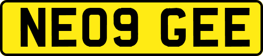 NE09GEE
