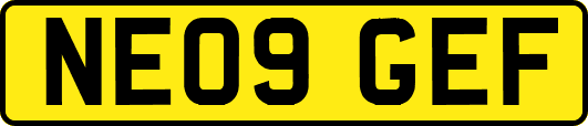 NE09GEF