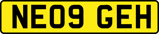 NE09GEH