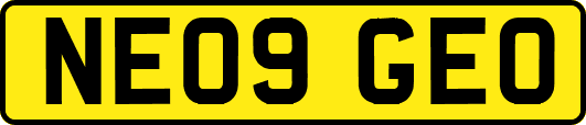 NE09GEO