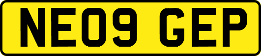 NE09GEP