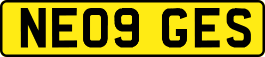 NE09GES