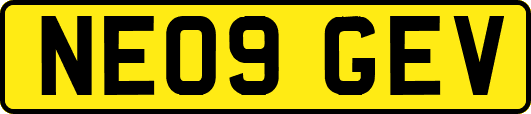NE09GEV