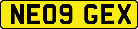 NE09GEX