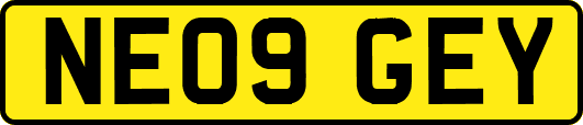 NE09GEY