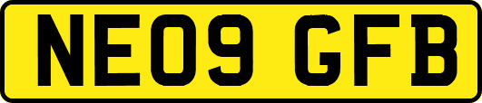 NE09GFB
