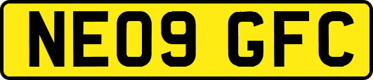 NE09GFC