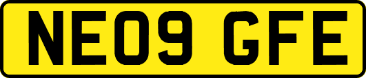 NE09GFE