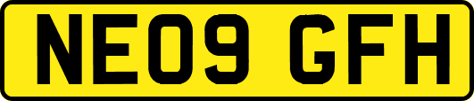 NE09GFH