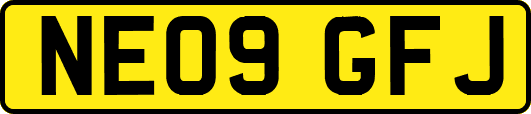NE09GFJ