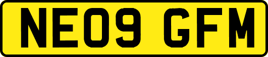 NE09GFM