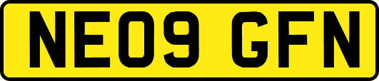 NE09GFN