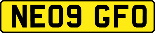 NE09GFO