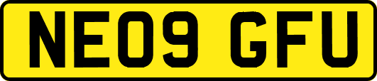NE09GFU