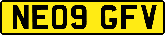 NE09GFV