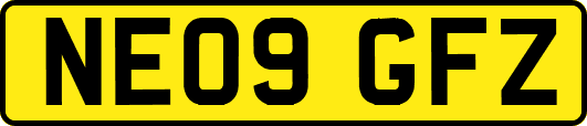 NE09GFZ