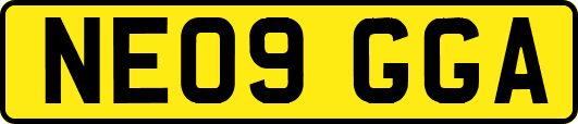 NE09GGA