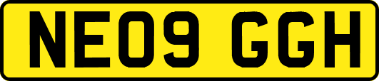 NE09GGH