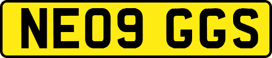 NE09GGS