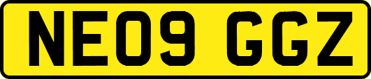 NE09GGZ